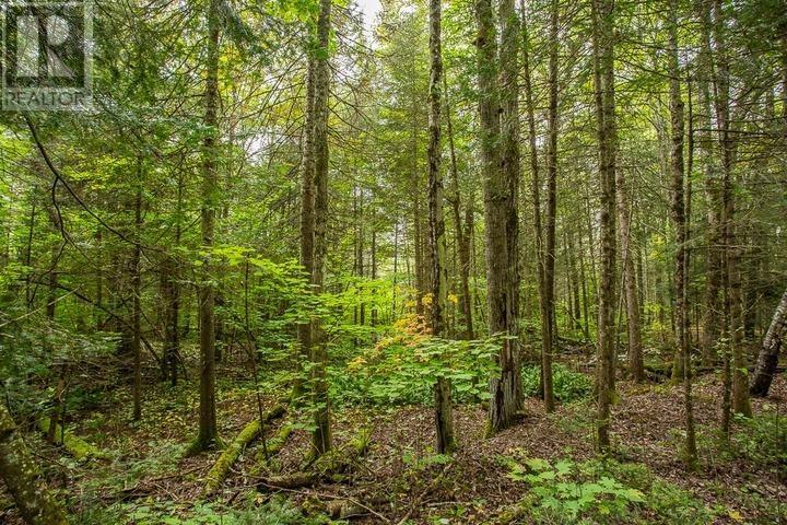 Trunk Road At Highway 17 East, Huron Shores, Ontario P0R 1L0 - Photo 31 - SM260544