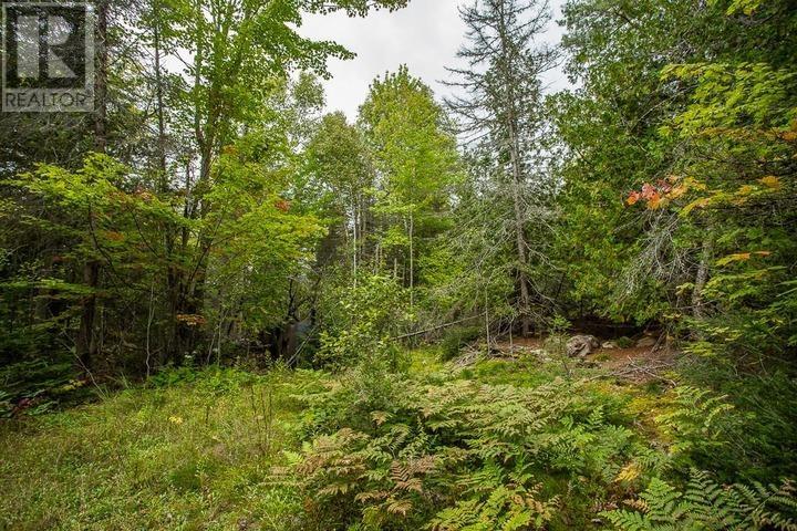 Trunk Road At Highway 17 East, Huron Shores, Ontario P0R 1L0 - Photo 32 - SM260544