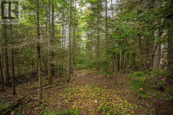 Trunk Road At Highway 17 East, Huron Shores, Ontario P0R 1L0 - Photo 34 - SM260544