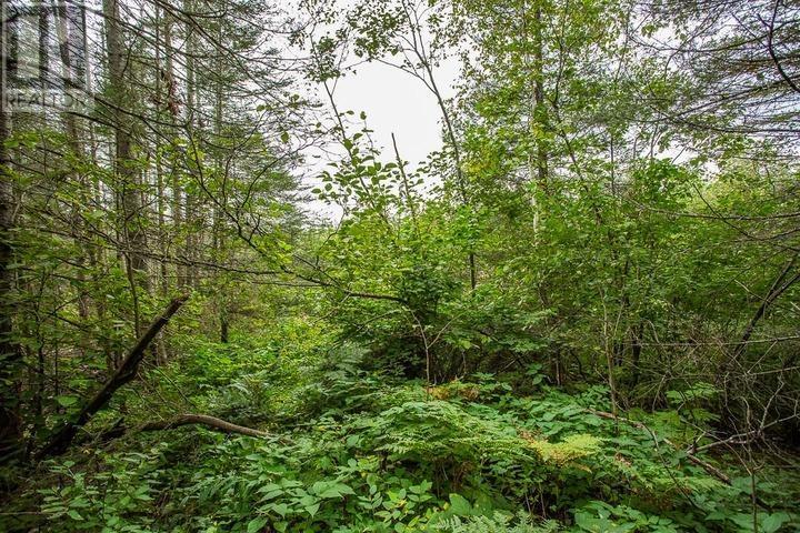 Trunk Road At Highway 17 East, Huron Shores, Ontario P0R 1L0 - Photo 35 - SM260544