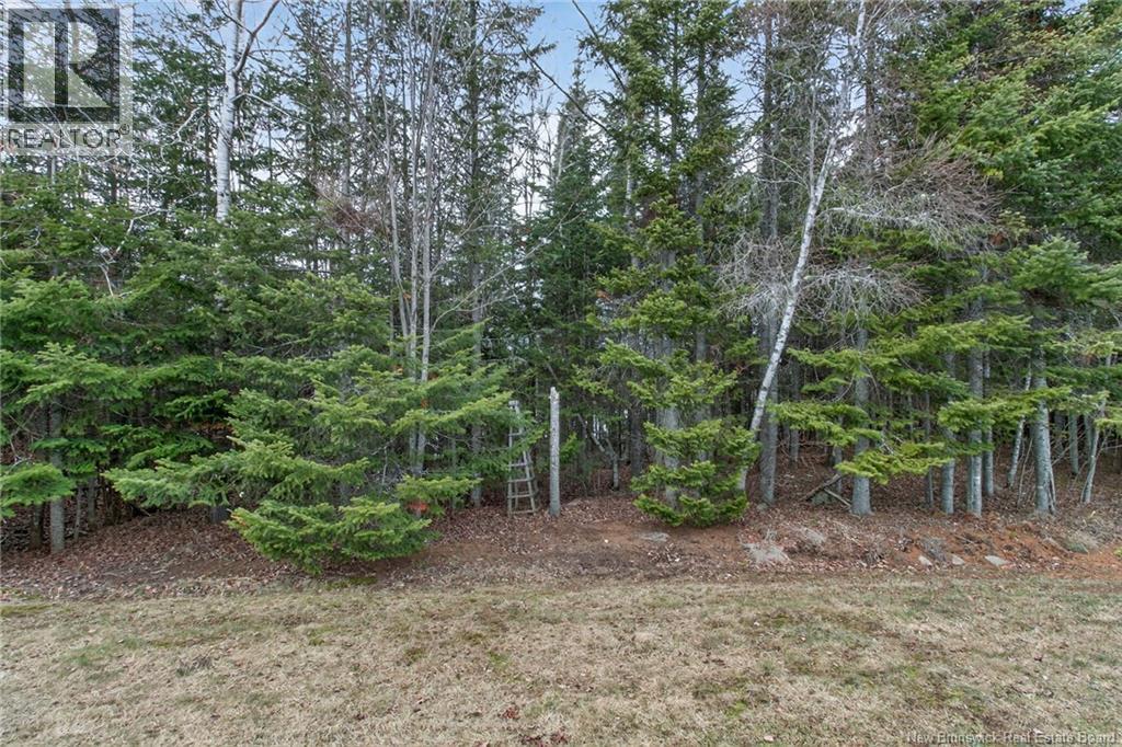 208 Damien Street, Dieppe, New Brunswick  E1A 5V6 - Photo 43 - NB135881