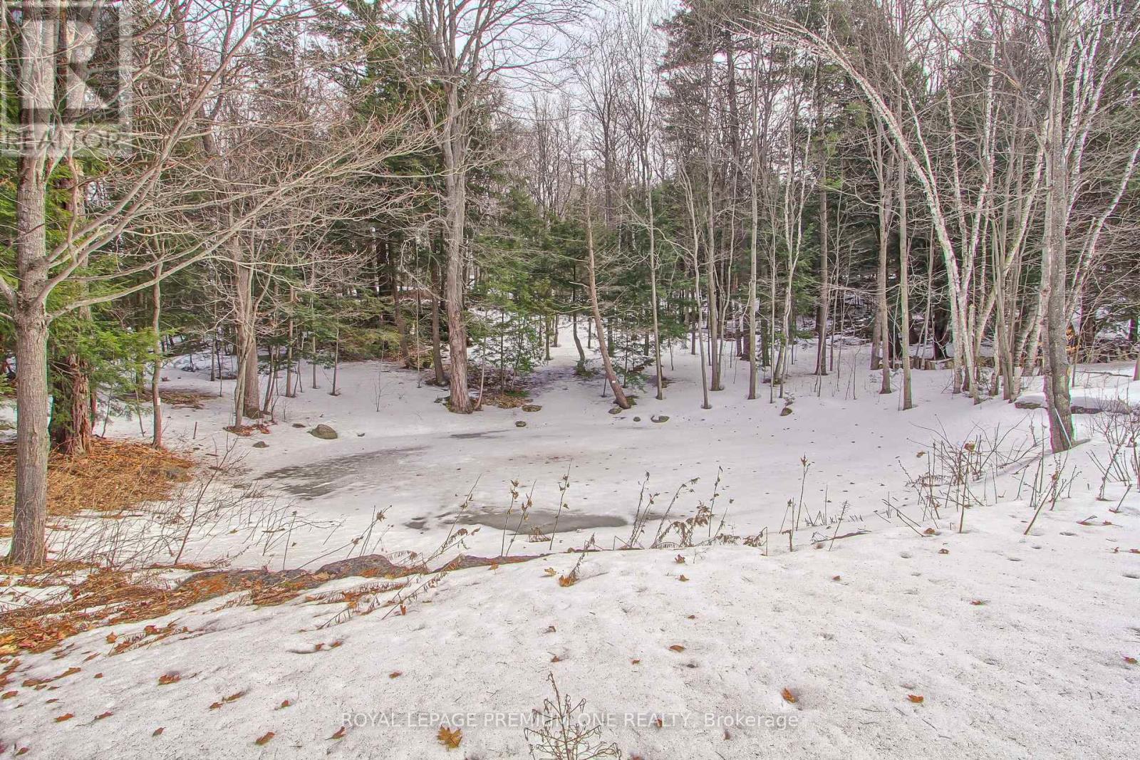 211 Pine Avenue, Caledon, Ontario  L7E 3S7 - Photo 49 - W12923440