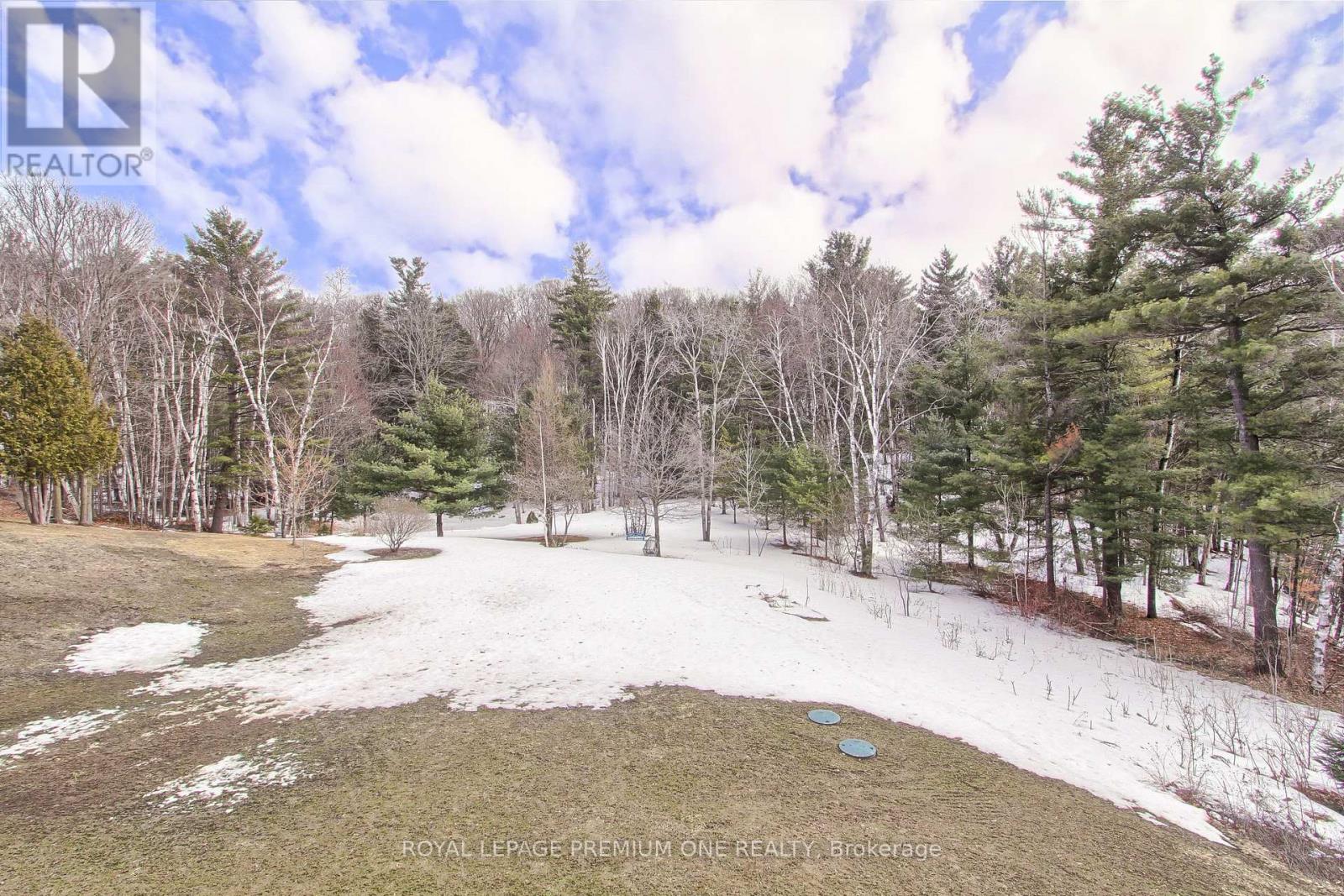 211 Pine Avenue, Caledon, Ontario  L7E 3S7 - Photo 48 - W12923440