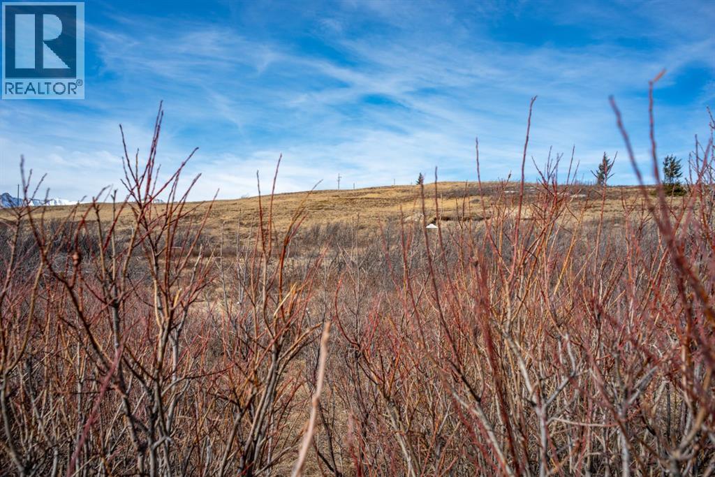 2 Paradise Drive, Rural Cardston County, Alberta  T0K 2M0 - Photo 31 - A2294739