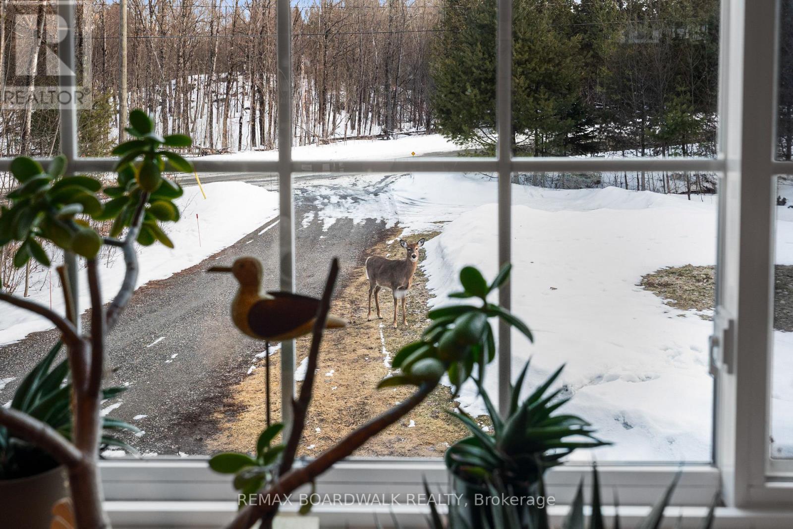 228 Stewart Gibson Road, Lanark Highlands, Ontario  K0G 1K0 - Photo 10 - X12924020