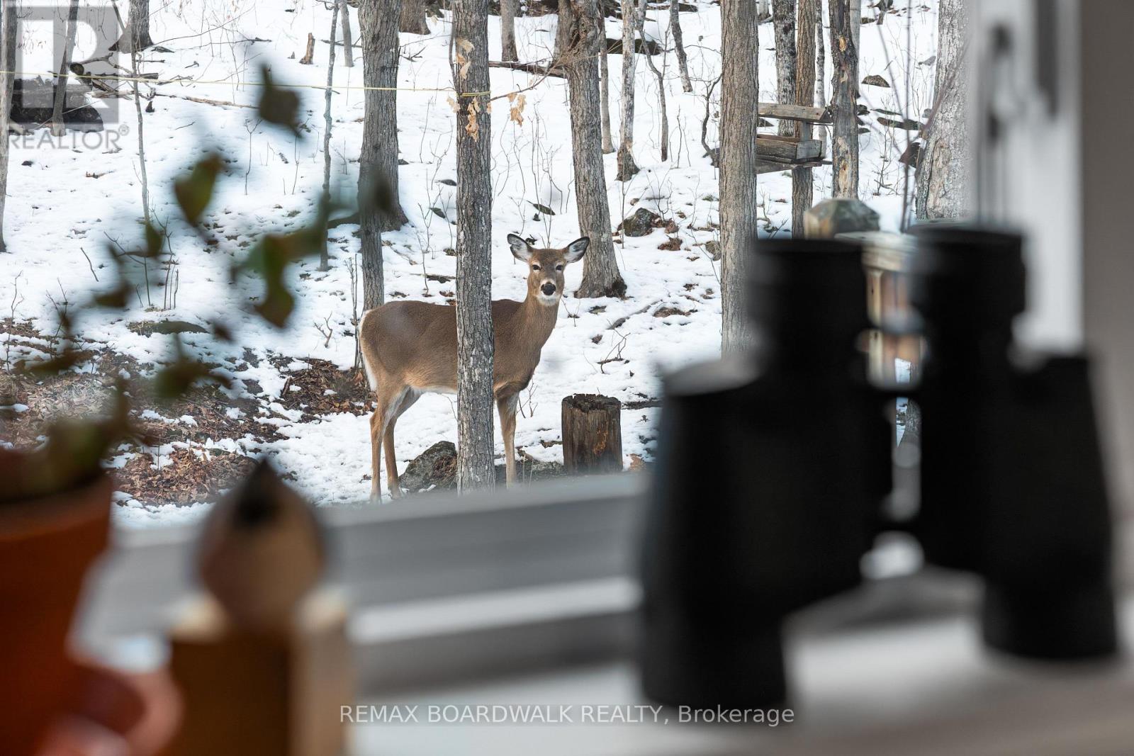 228 Stewart Gibson Road, Lanark Highlands, Ontario  K0G 1K0 - Photo 21 - X12924020