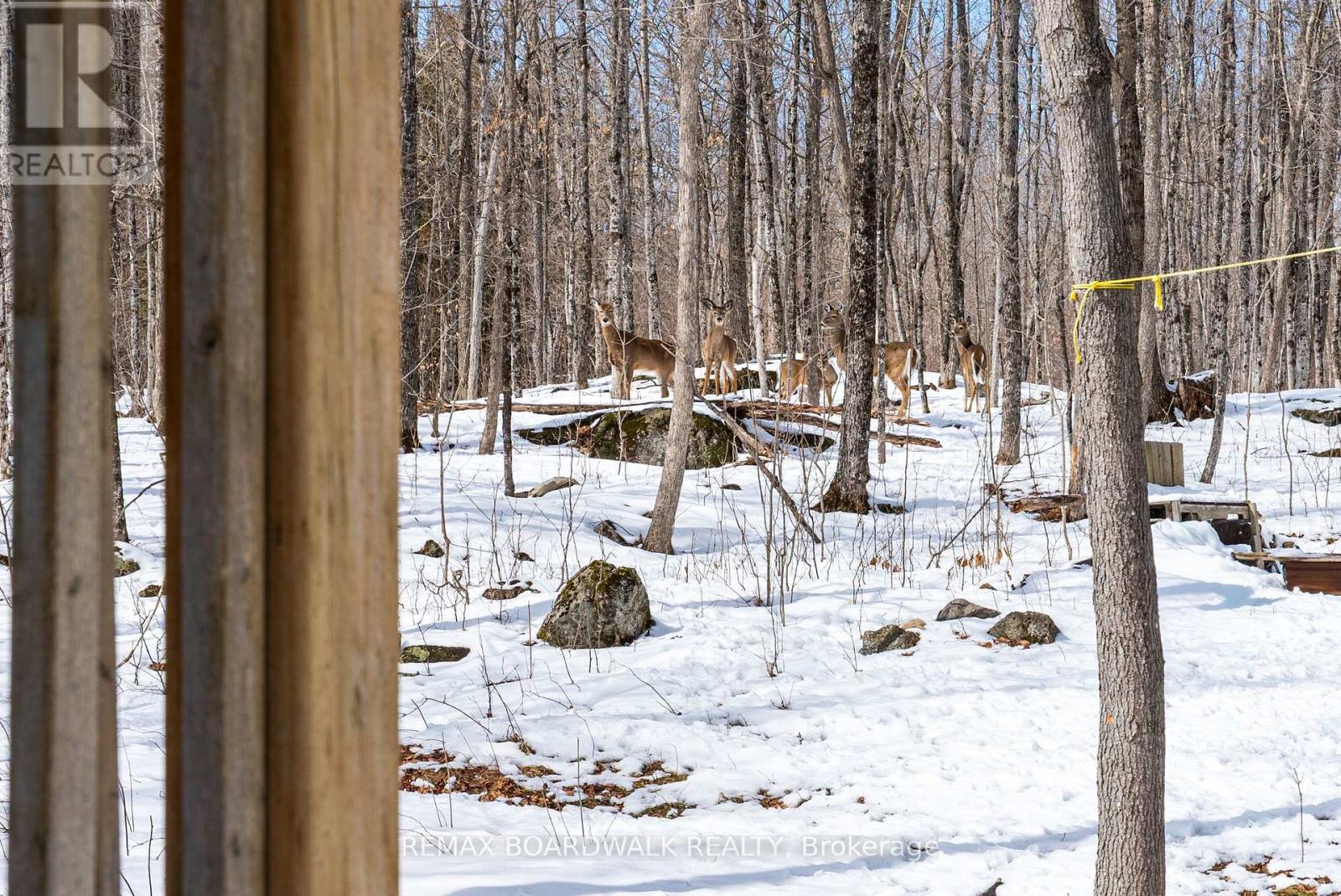 228 Stewart Gibson Road, Lanark Highlands, Ontario  K0G 1K0 - Photo 38 - X12924020