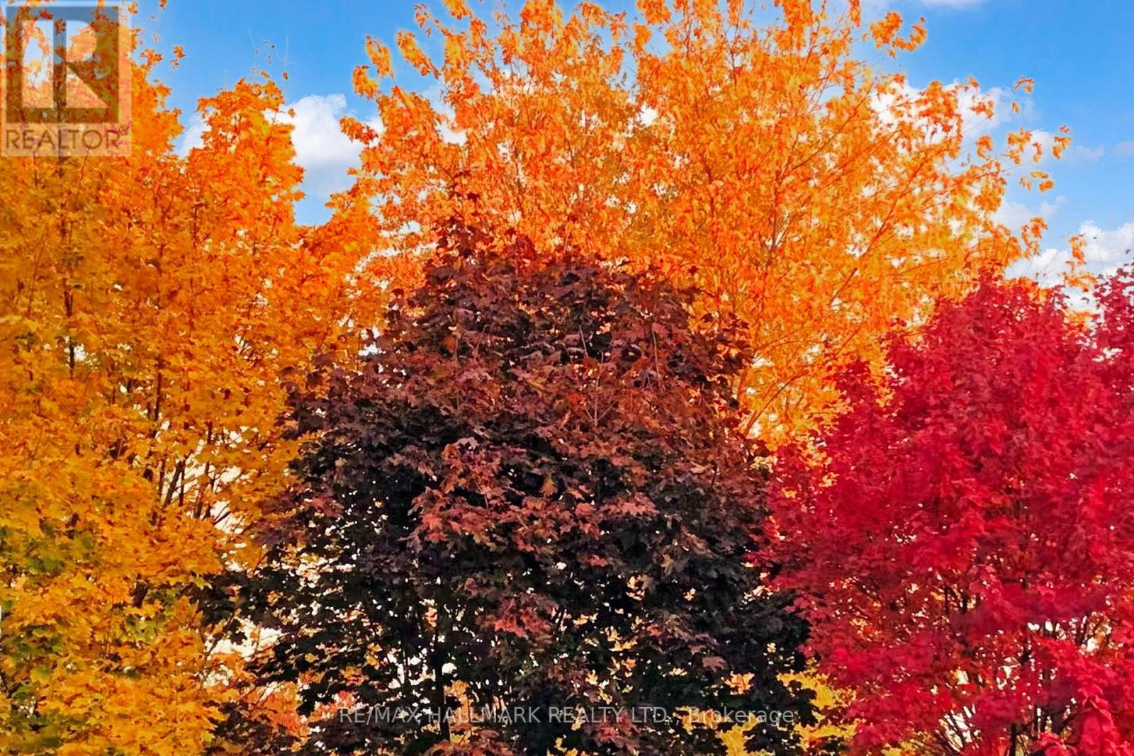 42 Mayan Avenue, Richmond Hill, Ontario  L4S 2W9 - Photo 38 - N12923936