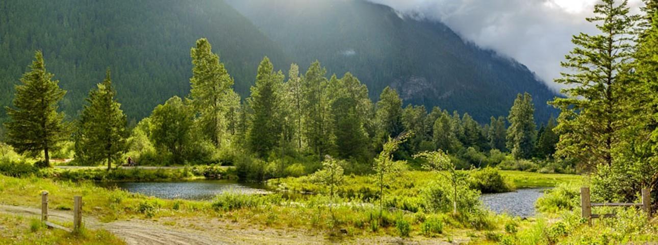 H118 Strawberry Lane, Sunshine Valley, Sunshine Valley, British Columbia  V0X 1L5 - Photo 2 - R3095922