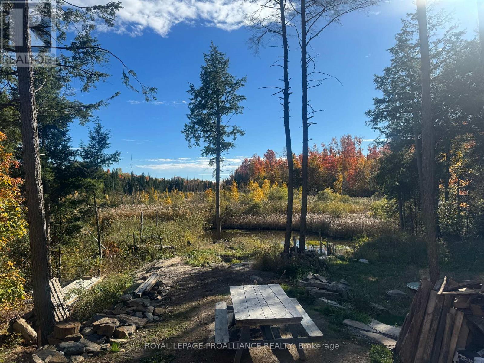 0 Devils Four Mile Road W, Havelock-Belmont-Methuen, Ontario  K0K 1Z0 - Photo 28 - X12429025