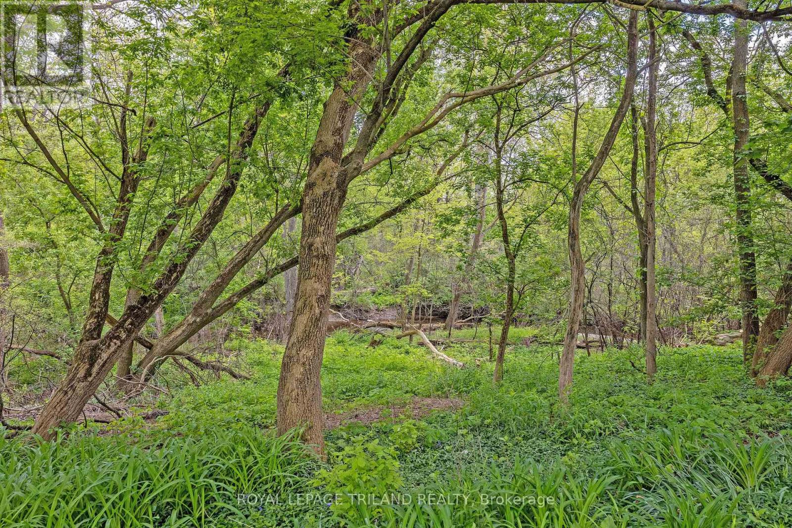 23 - 683 Windermere Road, London North, Ontario  N5X 3T9 - Photo 32 - X12654586