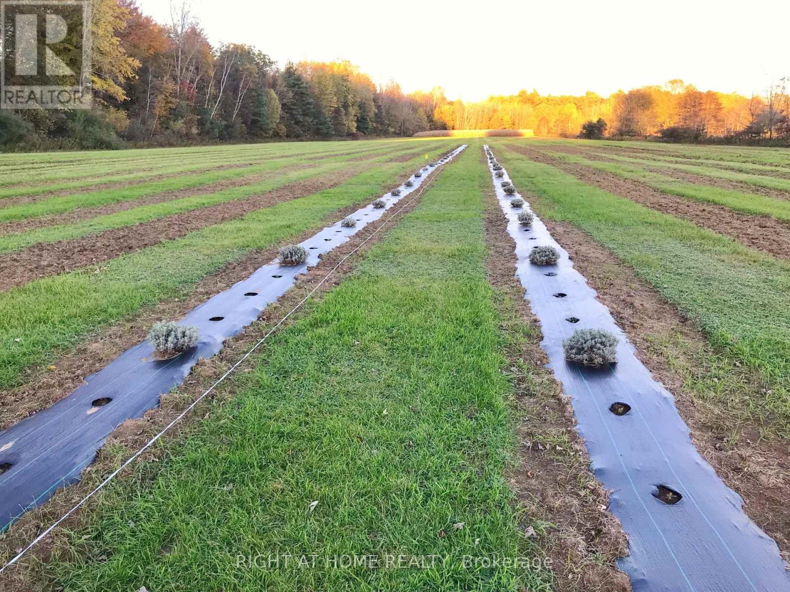 1938 Turkey Point Road, Norfolk, Ontario  N3Y 4J9 - Photo 39 - X12469263