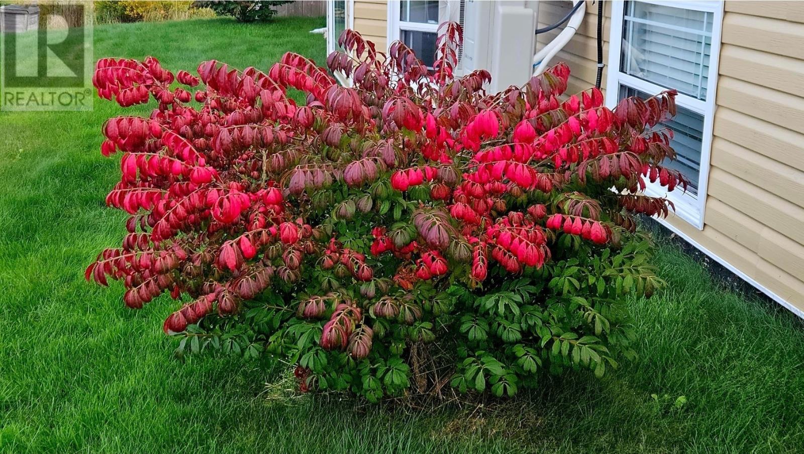 80 Badcock Boulevard, Bay Roberts, Newfoundland & Labrador  A0A 1G0 - Photo 47 - 1295554