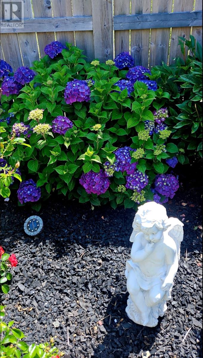 80 Badcock Boulevard, Bay Roberts, Newfoundland & Labrador  A0A 1G0 - Photo 48 - 1295554