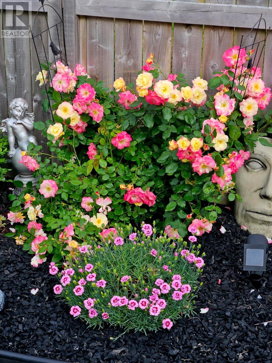 80 Badcock Boulevard, Bay Roberts, Newfoundland & Labrador  A0A 1G0 - Photo 49 - 1295554