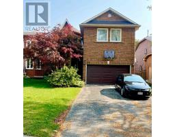 BASEMENT - 29 ESTORIL STREET, Richmond Hill, Ontario
