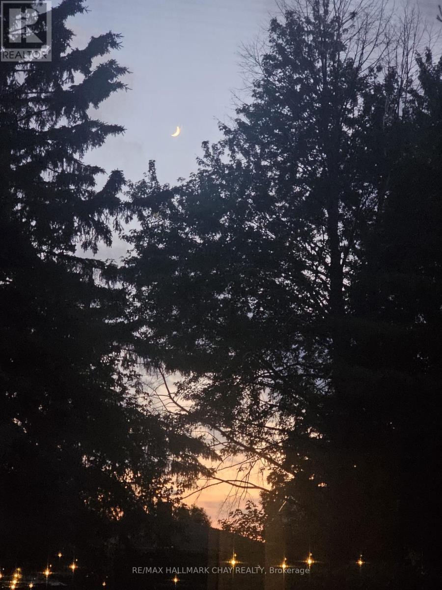 26 Stonehill Boulevard, East Gwillimbury, Ontario  L9N 1E3 - Photo 38 - N12920416