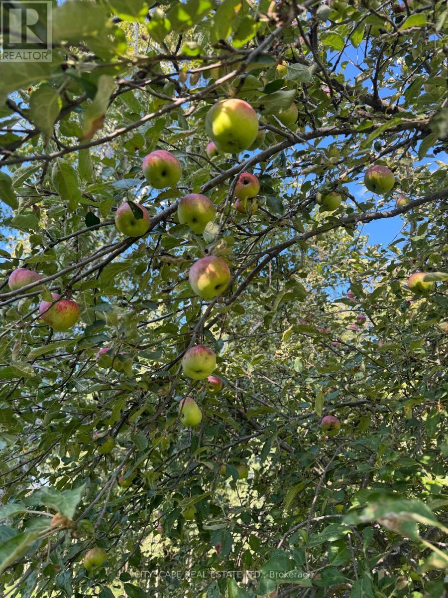 7 Mcconachie Crescent, Caledon, Ontario  L7K 0B9 - Photo 41 - W12921310