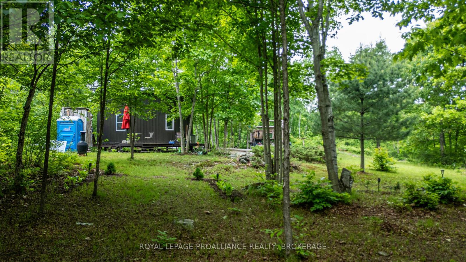 384 Big Crosby Lake Road, Rideau Lakes, Ontario  K0G 1X0 - Photo 5 - X12905164