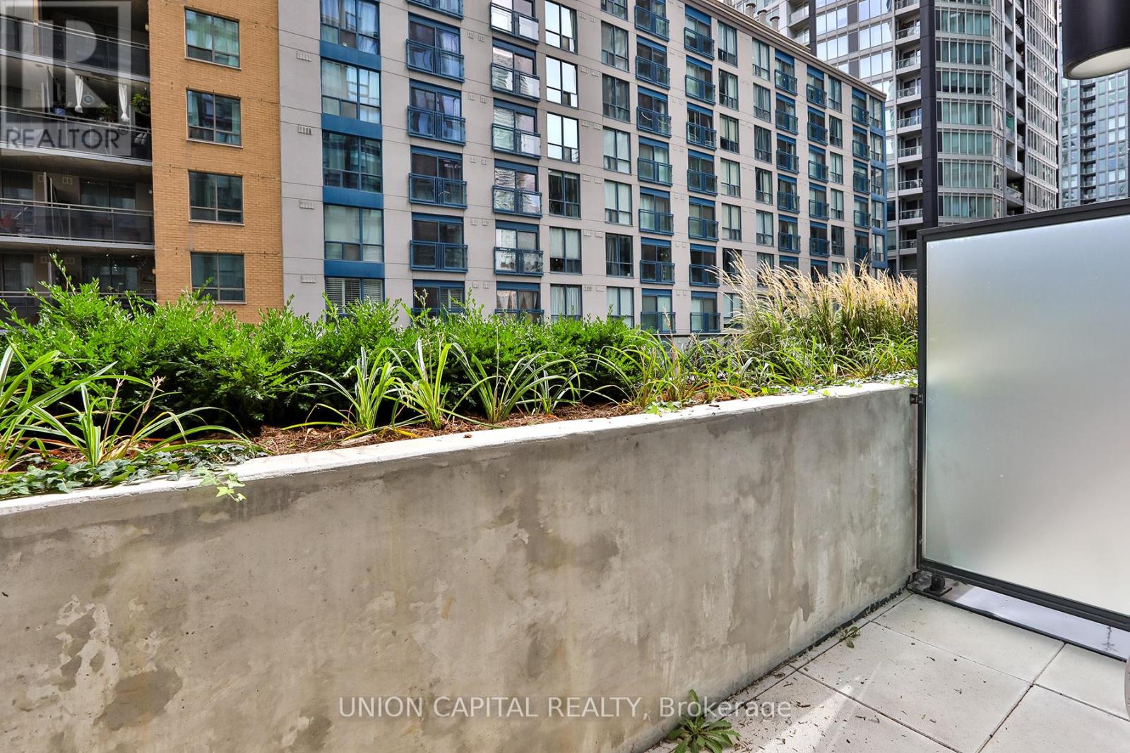 501 - 82 Dalhousie Street, Toronto, Ontario  M5B 0C5 - Photo 16 - C12924532