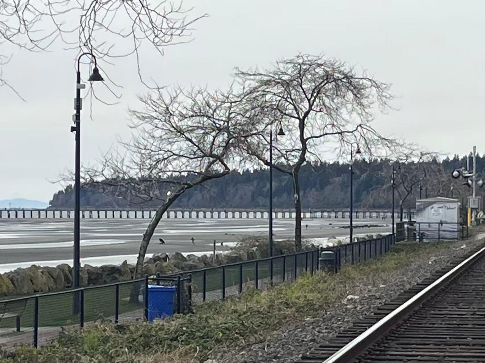 101 15581 Marine Drive, White Rock, British Columbia V4B 1C9 - Photo 20 - C8077361