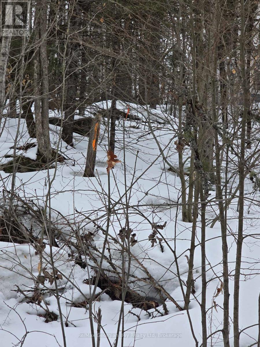 107 Balsam Chutes Road, Huntsville, Ontario  P0B 1L0 - Photo 2 - X12924538