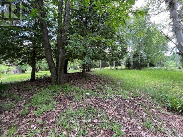 Lorem Ipsum Dolor, East Ferris, Ontario  P0H  - Photo 22 - DEMO29520364