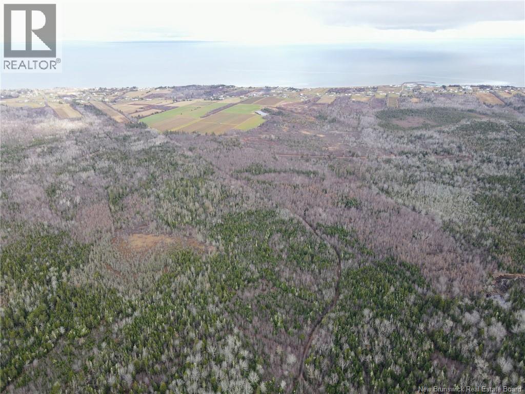 5376 Route 15, Shemogue, New Brunswick  E4N 2P5 - Photo 16 - NB135904