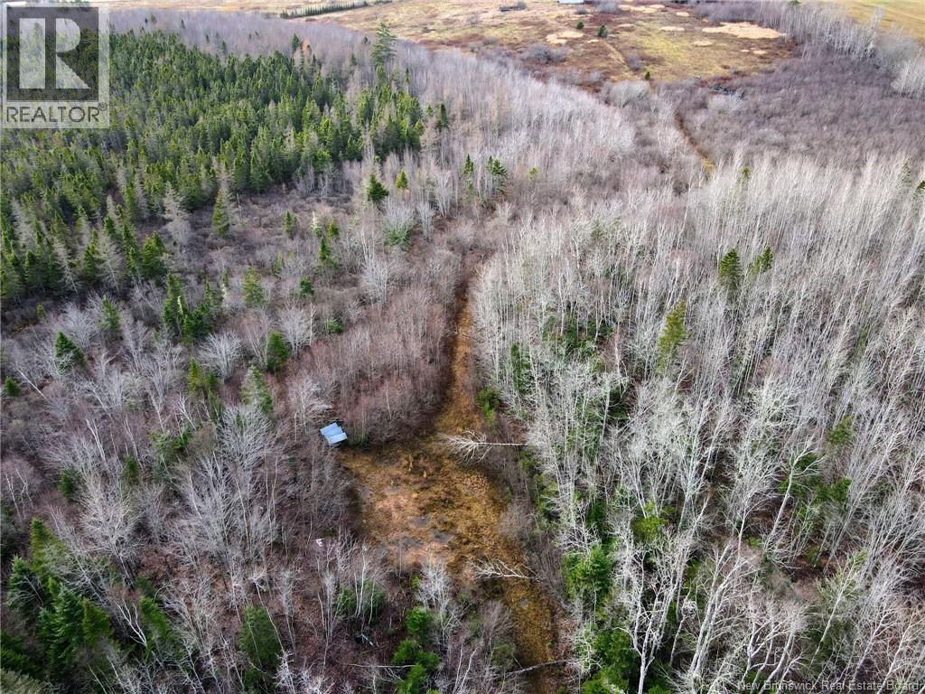 5376 Route 15, Shemogue, New Brunswick  E4N 2P5 - Photo 23 - NB135904