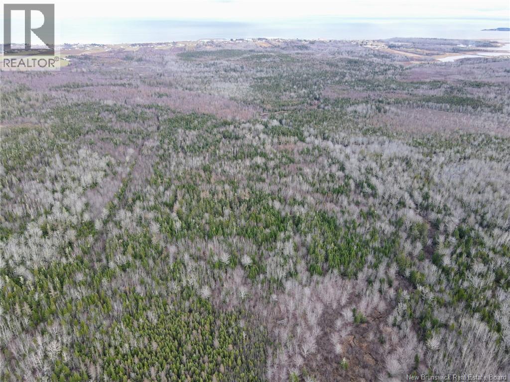 5376 Route 15, Shemogue, New Brunswick  E4N 2P5 - Photo 20 - NB135904