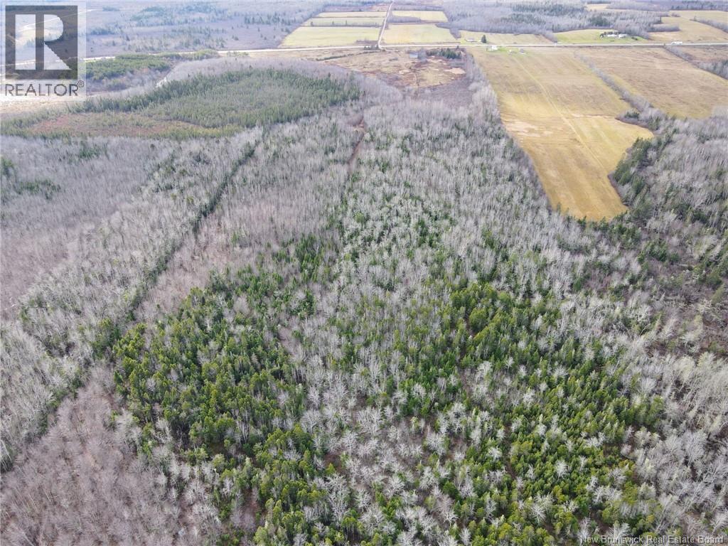 5376 Route 15, Shemogue, New Brunswick  E4N 2P5 - Photo 19 - NB135904