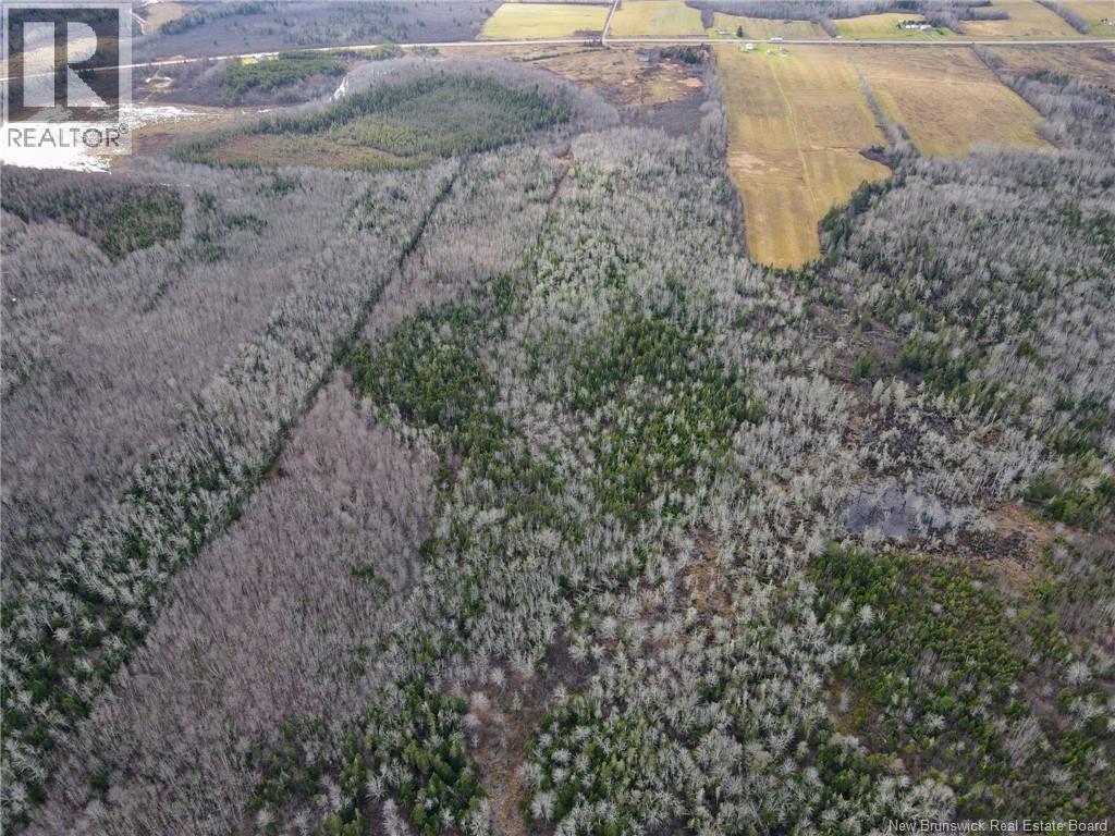 5376 Route 15, Shemogue, New Brunswick  E4N 2P5 - Photo 18 - NB135904