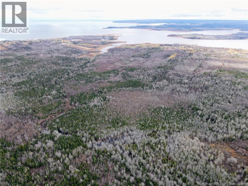 5376 Route 15, Shemogue, New Brunswick  E4N 2P5 - Photo 17 - NB135904