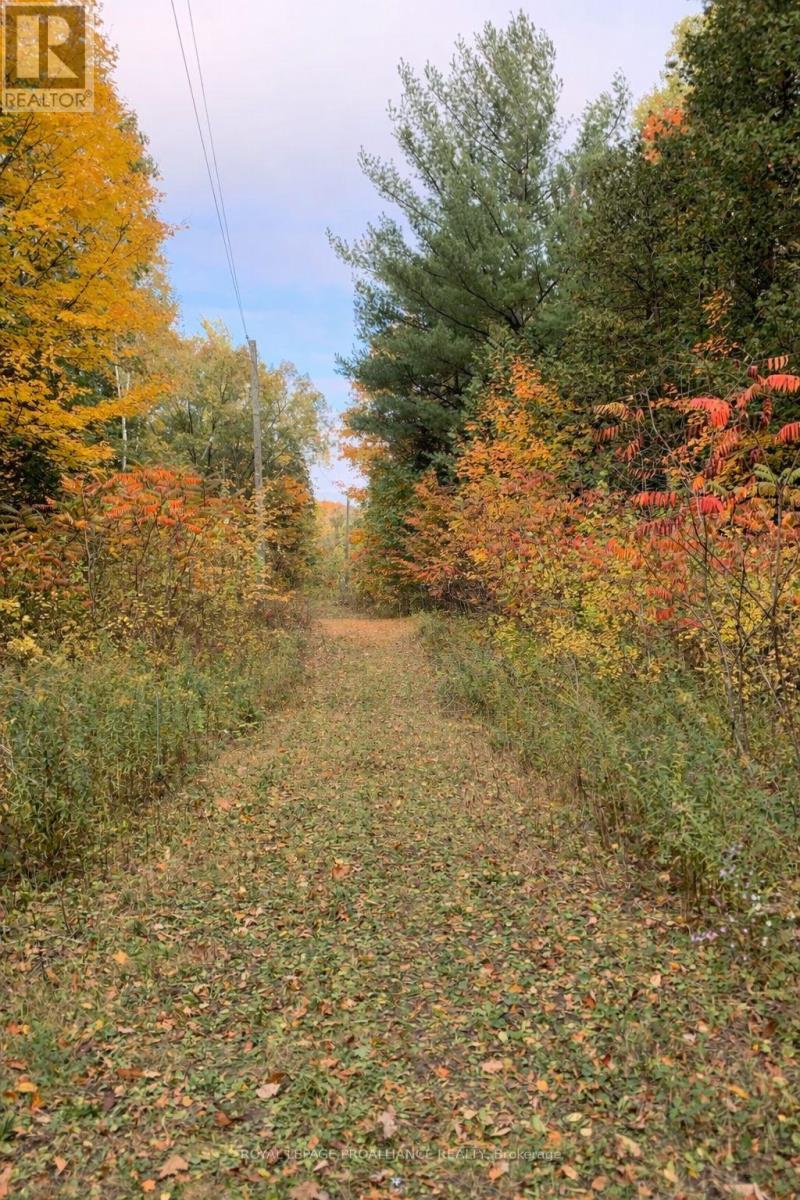 42 Nichols Road, Quinte West, Ontario  K0K 1H0 - Photo 46 - X12924822