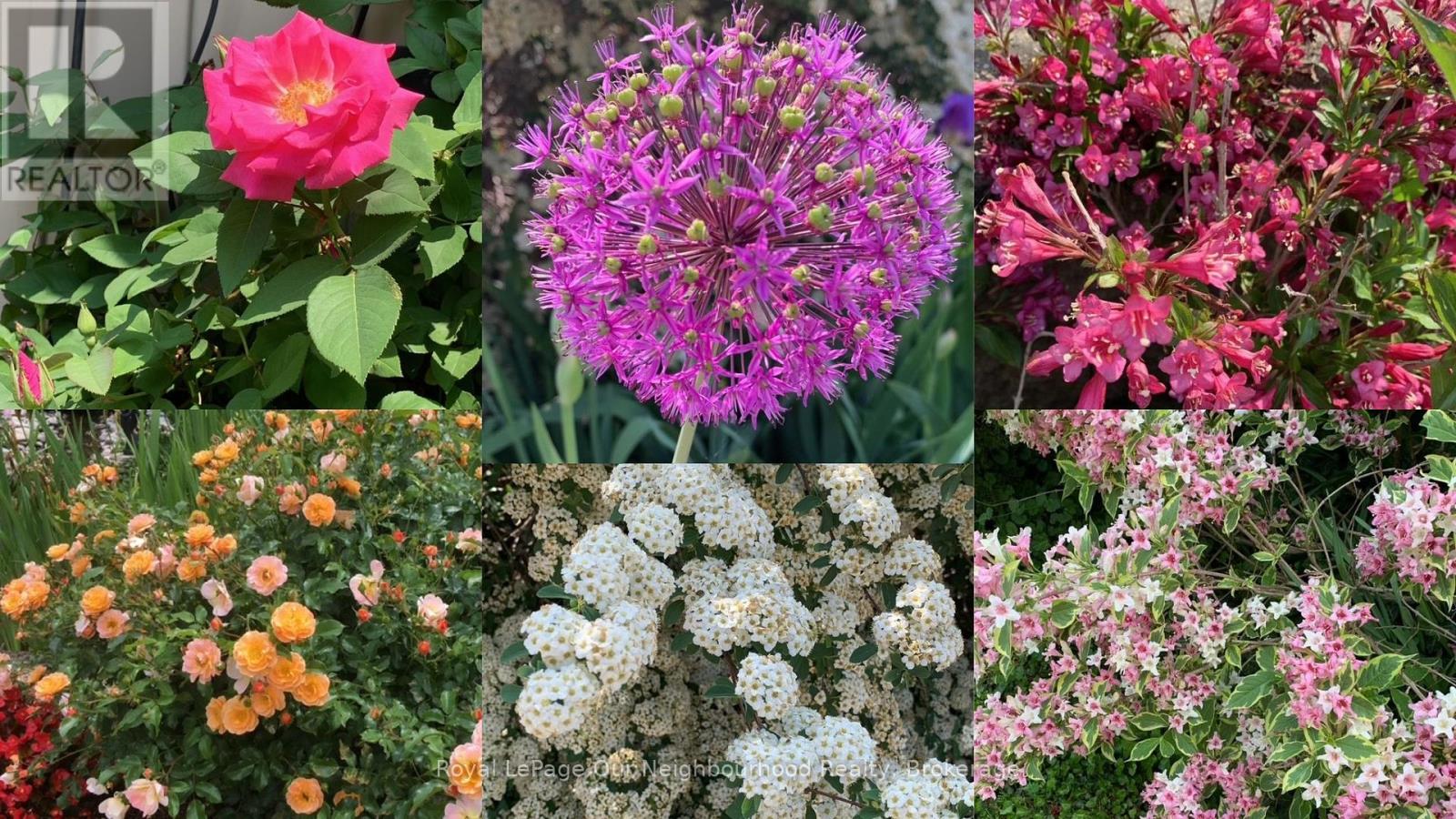 58 Clarke Street N, Woodstock, Ontario  N4S 7M5 - Photo 50 - X12919408