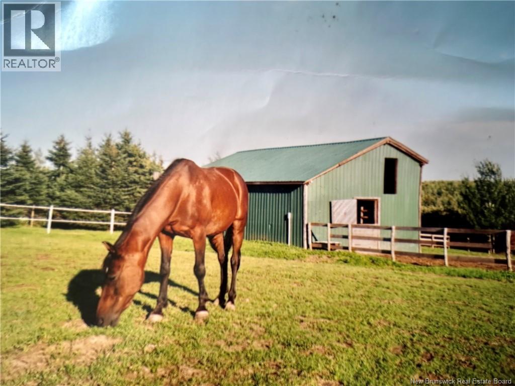 311 Indian Mountain, Indian Mountain, New Brunswick  E1G 3C1 - Photo 43 - NB135417