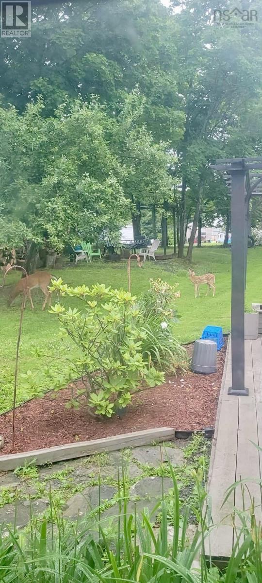 Lorem Ipsum Do, New Glasgow, Nova Scotia  B2H  - Photo 48 - DEMO29518146