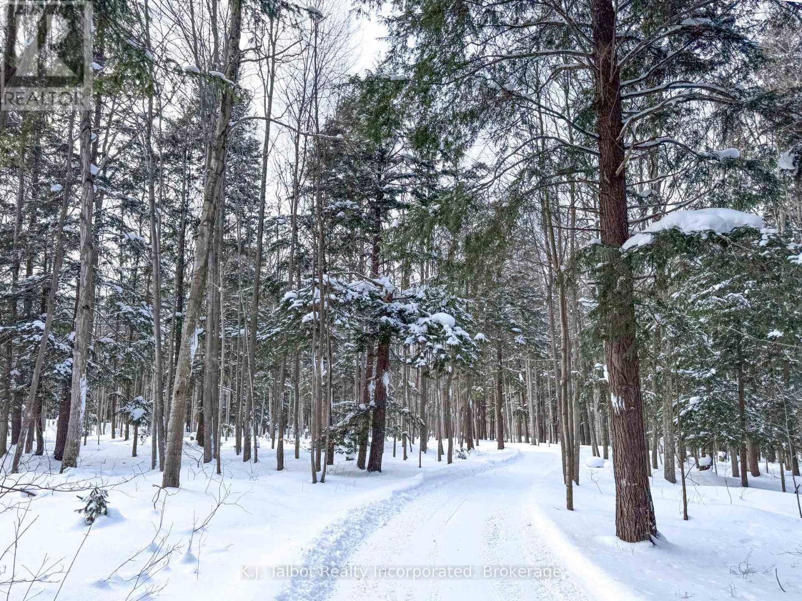 80602 Benmiller Line, Central Huron, Ontario  N0M 1L0 - Photo 32 - X12781116