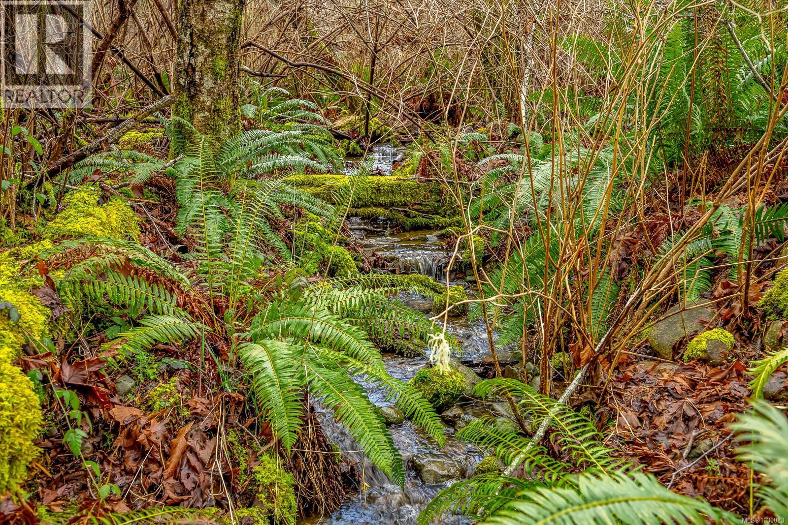 6590 Country Rd, Fanny Bay, British Columbia  V0R 1W0 - Photo 45 - 1030083