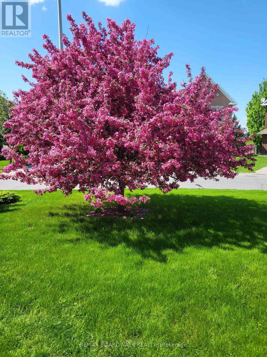 6355 Sablewood Place, Ottawa, Ontario  K1C 7M3 - Photo 43 - X12924612