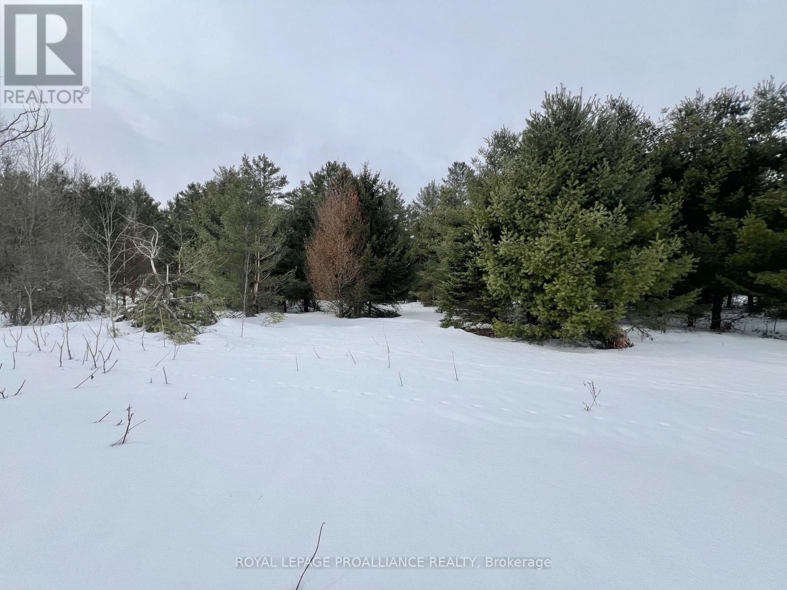 1297 Barry Road, Madoc, Ontario  K0K 2K0 - Photo 31 - X12924802