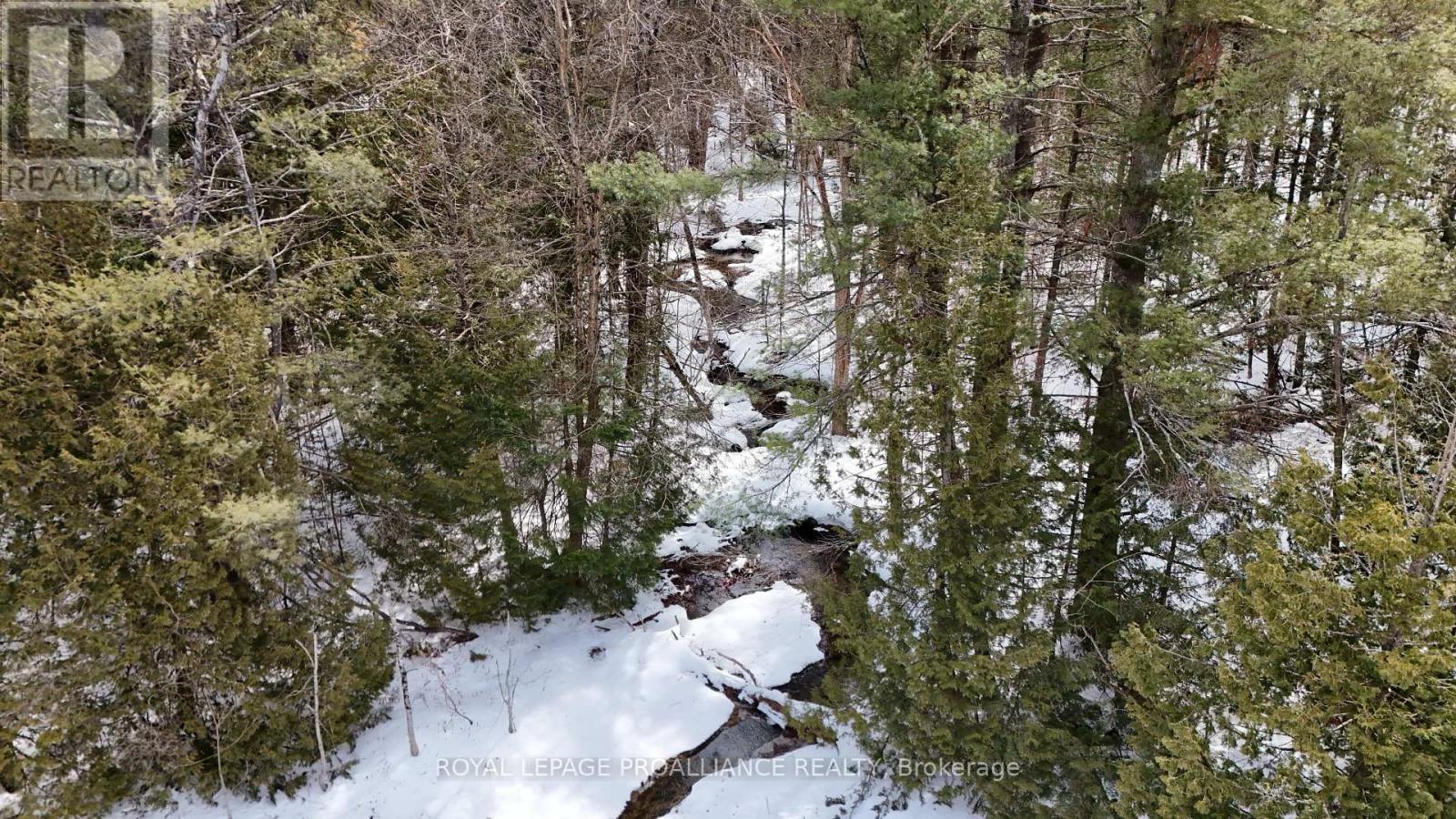 1297 Barry Road, Madoc, Ontario  K0K 2K0 - Photo 41 - X12924802