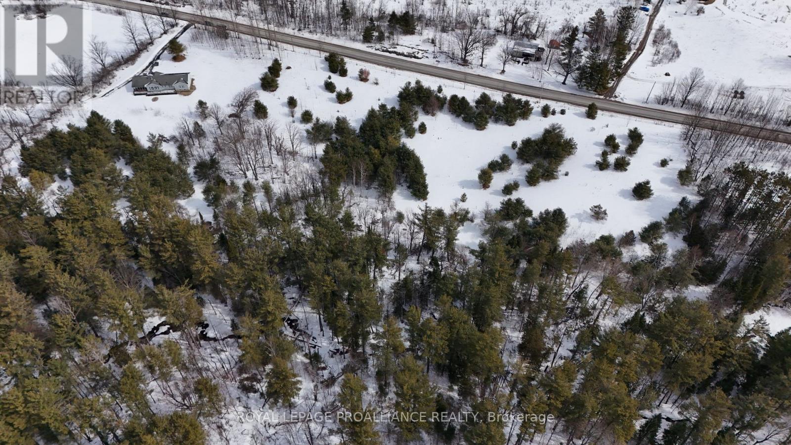 1297 Barry Road, Madoc, Ontario  K0K 2K0 - Photo 39 - X12924802