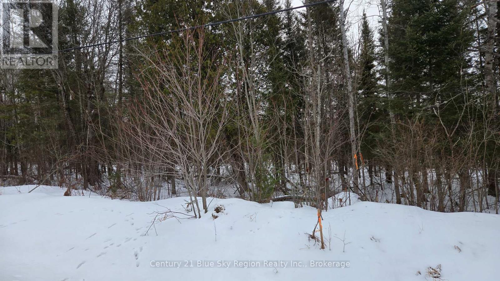 P1 Pt Lt 11 Con 10 Highway 654, Nipissing, Ontario  P0H 1Z0 - Photo 4 - X12925362