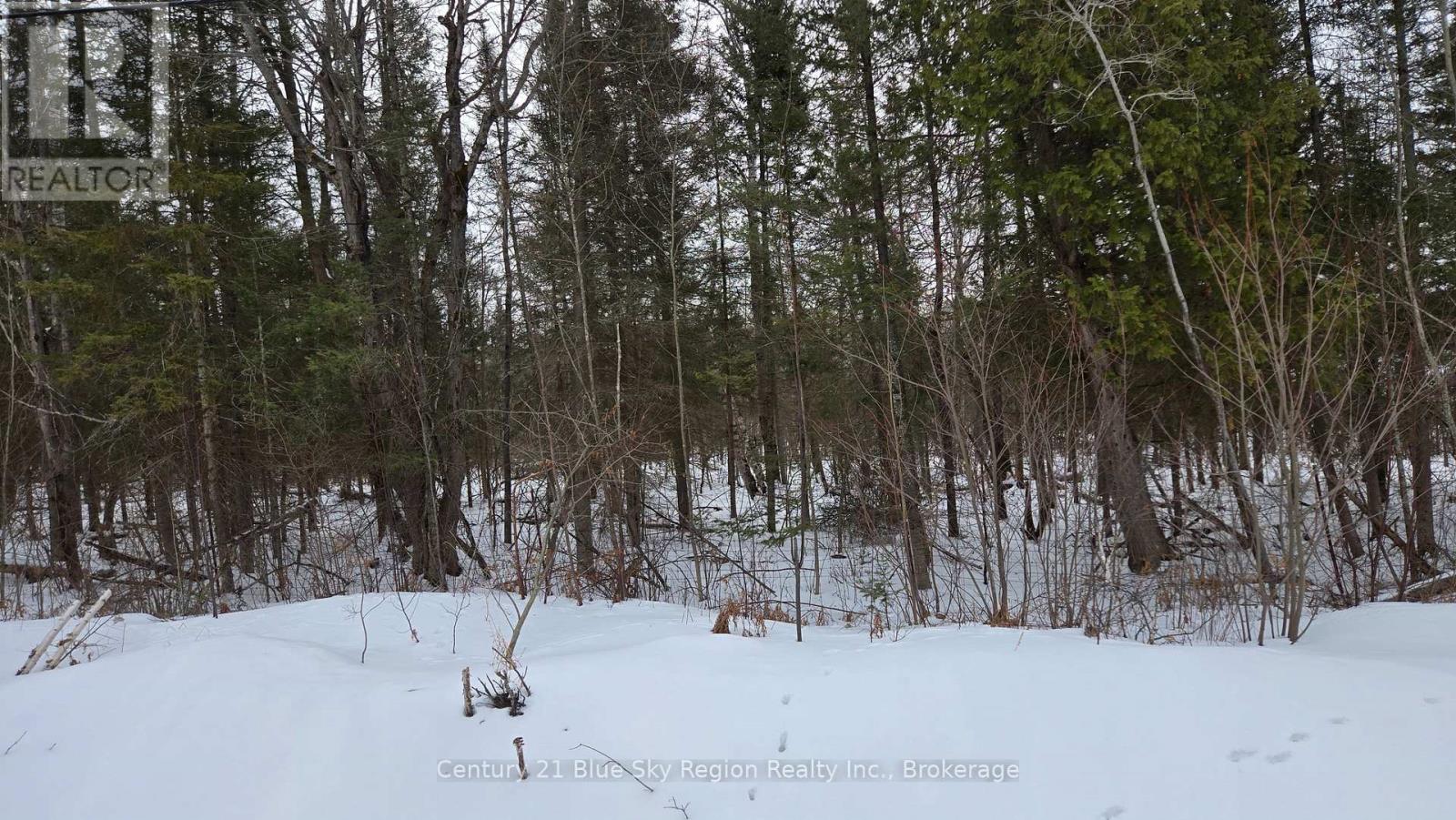 P1 Pt Lt 11 Con 10 Highway 654, Nipissing, Ontario  P0H 1Z0 - Photo 5 - X12925362