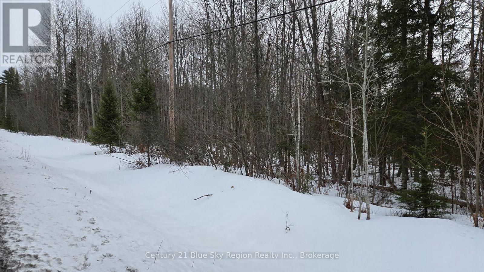 P1 Pt Lt 11 Con 10 Highway 654, Nipissing, Ontario  P0H 1Z0 - Photo 6 - X12925362