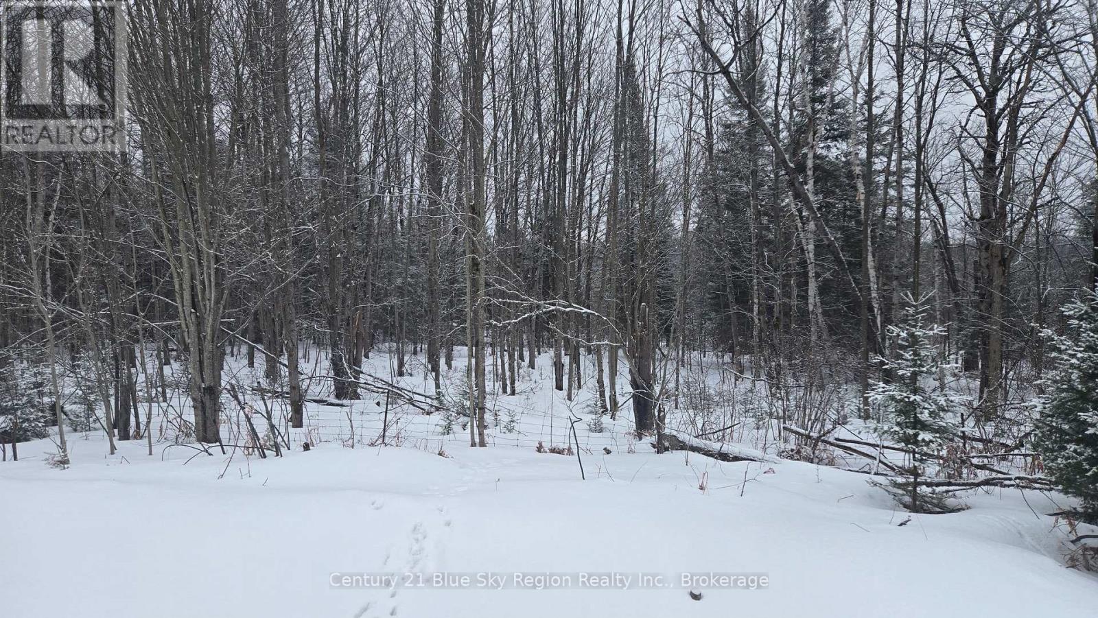 P1 Pt Lt 11 Con 10 Highway 654, Nipissing, Ontario  P0H 1Z0 - Photo 7 - X12925362