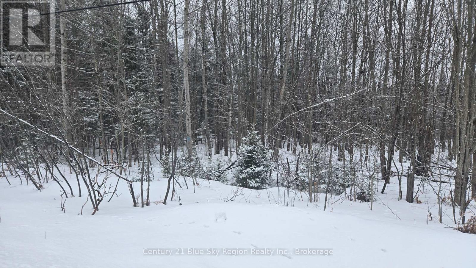 P1 Pt Lt 11 Con 10 Highway 654, Nipissing, Ontario  P0H 1Z0 - Photo 9 - X12925362