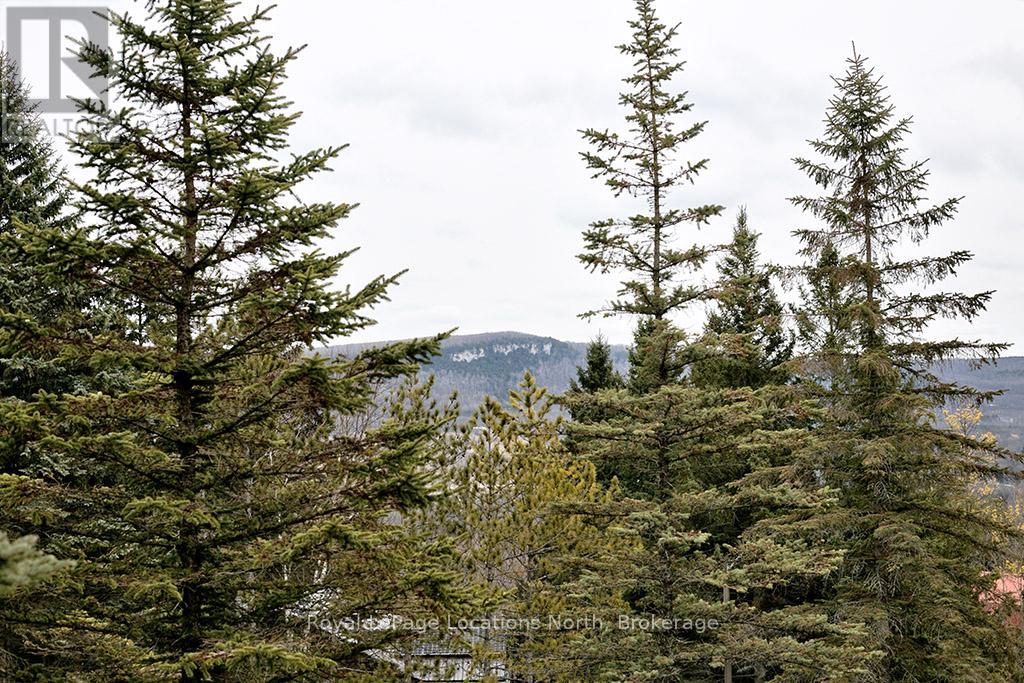 112 Amik Court, Grey Highlands, Ontario  N0C 1G0 - Photo 24 - X12925260