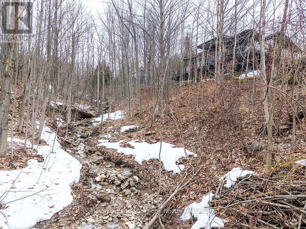 112 Amik Court, Grey Highlands, Ontario  N0C 1G0 - Photo 41 - X12925260